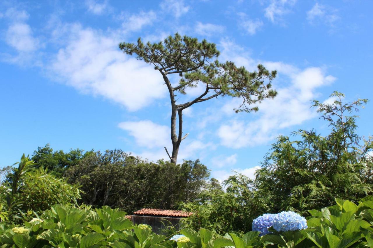 Quinta Do Torreao Villa คาเปลาส ภายนอก รูปภาพ